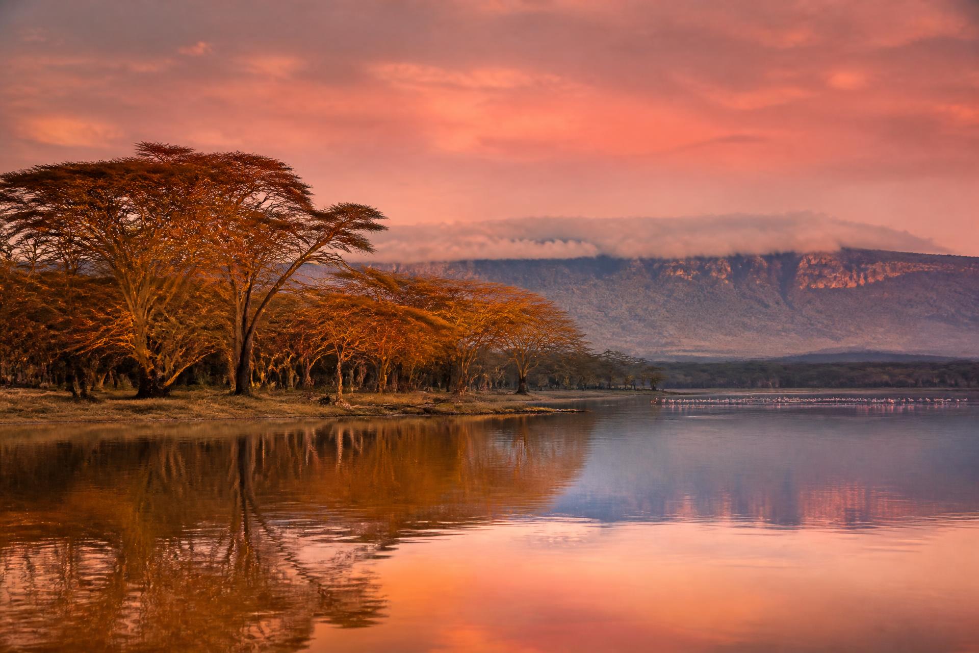Flamingos at Lake Naivasha at sunset